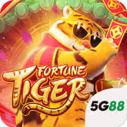 wild bet777.com login - Slots Casino ícone